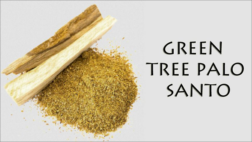 Palo Santo